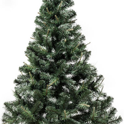 Novogodišnja realistična jelka Buskerud 220 cm