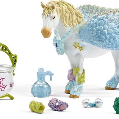 Schleich Figurice Bayala - Lečenje pegaza 42172