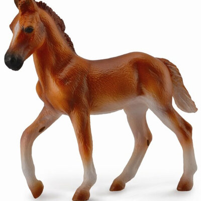 Collecta figura Konj Peruvian Paso Ždrebe CT88751
