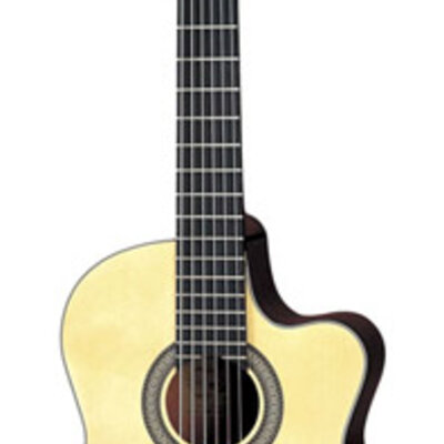 Aria AK-30CE klasična gitara sa ozvukom