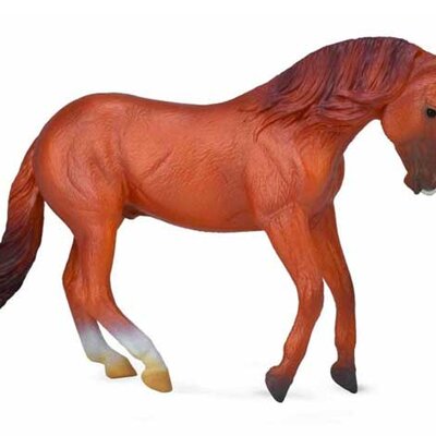 Collecta Figura Australijski Konj CT88712
