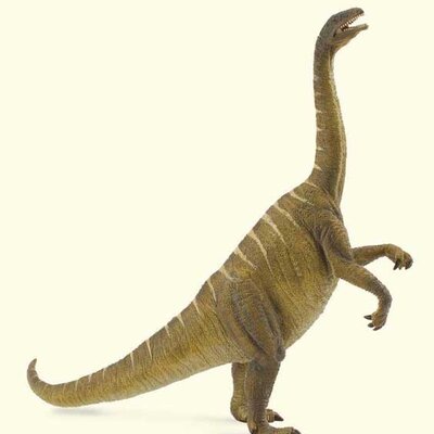 Collecta Dinosaurus Plateosaurus CT88513