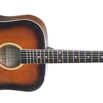 SX DG25-WS akustična gitara