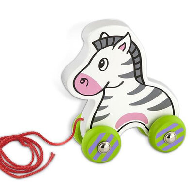 Zebra na vuču 50093 