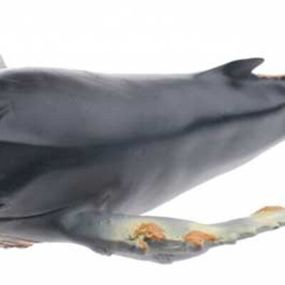 JohnToy Animal World Grbavi Kit 25244