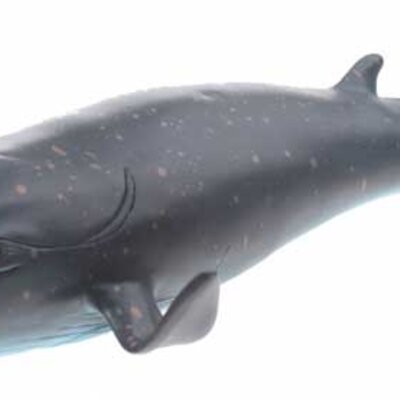 JohnToy Animal World Plavi Kit 25244