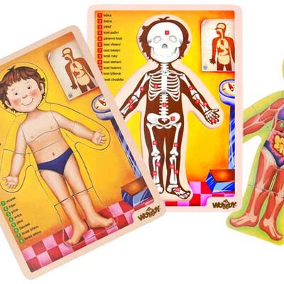 Woodyland Puzle Ljudsko Telo 90324