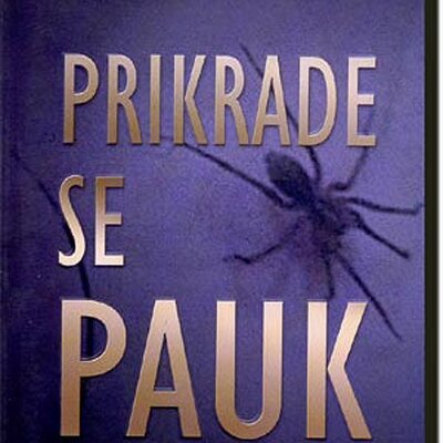 Prikrade Se Pauk, Džejms Paterson