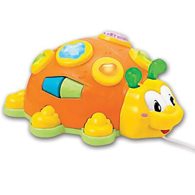 Aktiviti bubica 0652-NL 