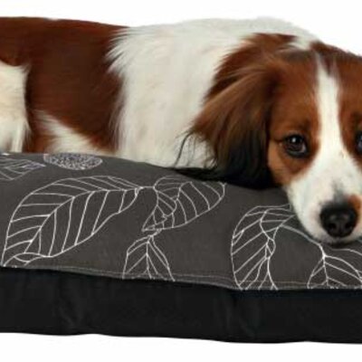 Jastuk za psa Serino 80cm Trixie 38081