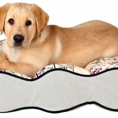 Ležaljka za psa Trixie Carta 37767