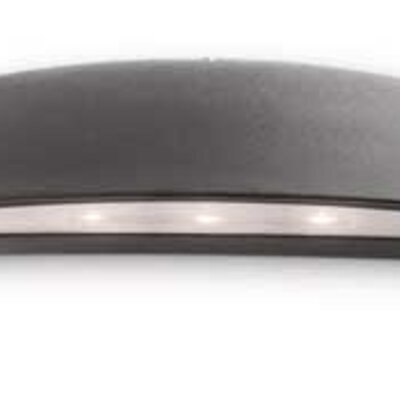 Philips Dimabilna Spoljna Zidna LED svetiljka Morningdew 17208/93/16