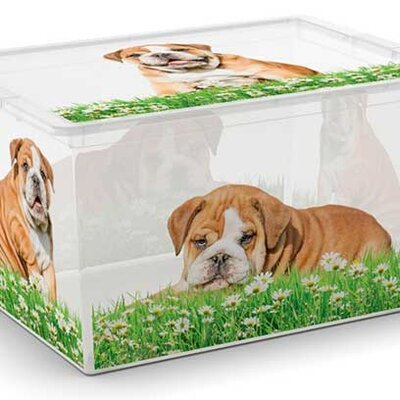 Kis Kutija za odlaganje stvari C Box Puppy XL 50L 
