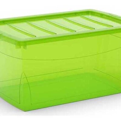 Kis Kutija za odlaganje stvari Omnibox L 50L sv.zelena