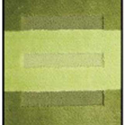Prostirka za kupatilo Gold 60x100 zelena