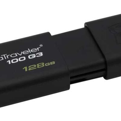USB Flash Memorija Kingston DT100G3 128GB