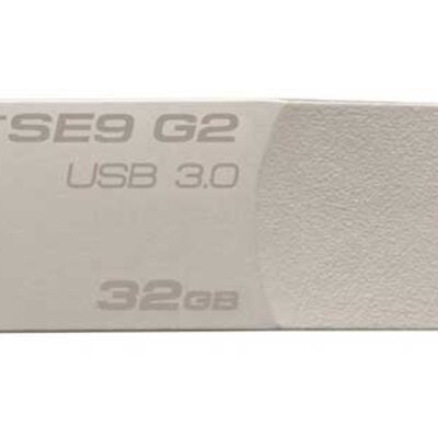 USB Flash Memorija Kingston DTSE9G2 32GB