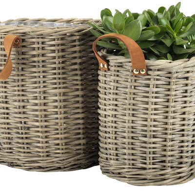 Saksije Od Vrbe Sa Rukohvatima - 2 Komada