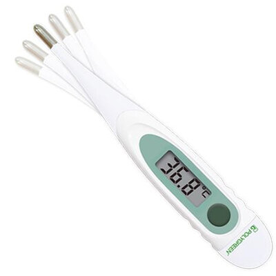 Prizma digitalni termometar Polygreen KD-1501