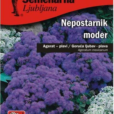 Cveće Goruća Ljubav - plava - Ageratum mexicanum - seme 2036