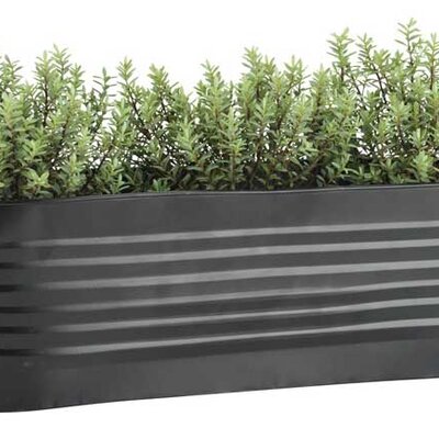 Balkonska saksija Barbara