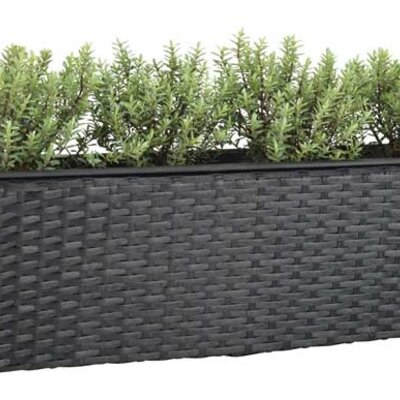 Balkonska saksija Gimont