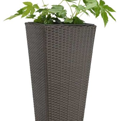 Saksija za cveće 70cm Moller