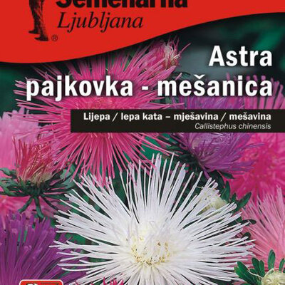 Seme Lepa Kata igličasta - mešavina - Callistephus chinensis spider 2260