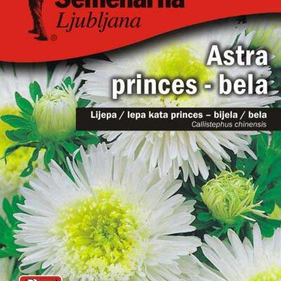 Seme Lepa Kata Princes - bela - Callistephus chinensis 2274