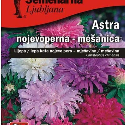 Seme Lepa Kata Nojevo pero - mešavina - Callistephus chinensis 2362