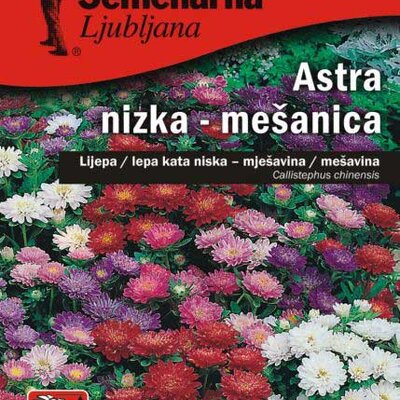 Seme Lepa Kata - Šimirezla - mešavina - Callistephus chinensis 2402