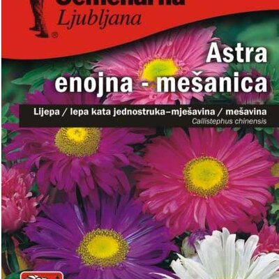 Seme za cveće Lepa Kata jednostruka - mešavina - Callistephus chinensis 2405