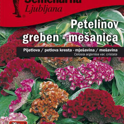 Baštensko cveće Petlova kresta - mešavina - Celosia argentea var. cristata 2742