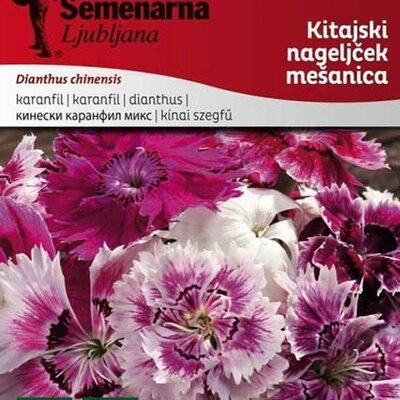 Seme za cveće Kineski karanfil - mešavina - Dianthus chinensis 3138