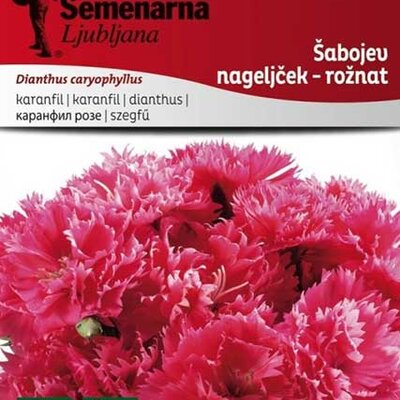 Seme za Karanfil  šabo - pink - Dianthus caryophyllus 3225/1