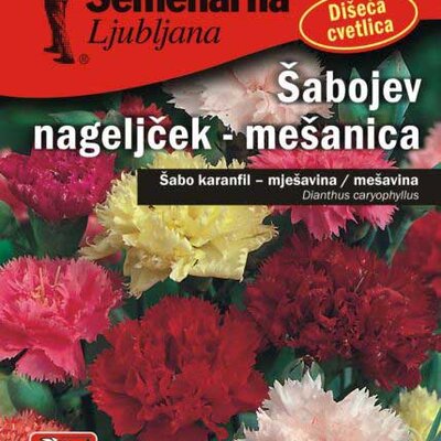 Seme za cveće Karanfil  šabo - mešavina - Dianthus caryophyllus 3245