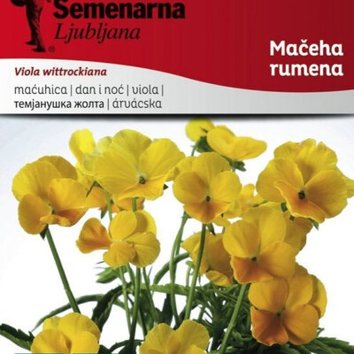 Seme za cveće Dan i noć - žuti -  Viola wittrockiana 5720/5