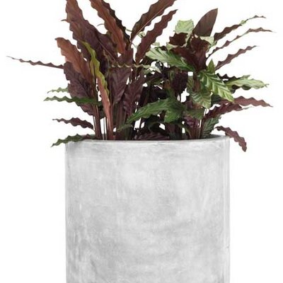 Saksija Flugi prečnik 41cm siva