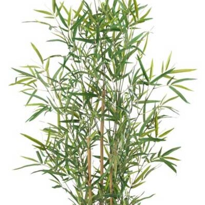 Veštački bambus V90cm