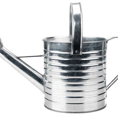 Kantica za zalivanje cveća 2.5 lit.