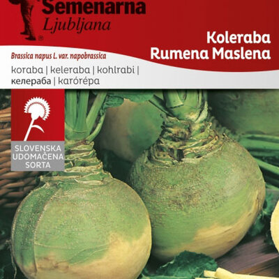 Seme za povrće - Keleraba žuta puterica -  Brassica oleracea L. var. gongylodes 161