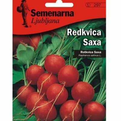 Seme - Rotkvice saksa - Raphanus sativus var. sativus 297