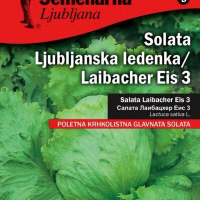 Seme - Zelena salata ljubljanska ledenka -  Lactuca sativa L. 354