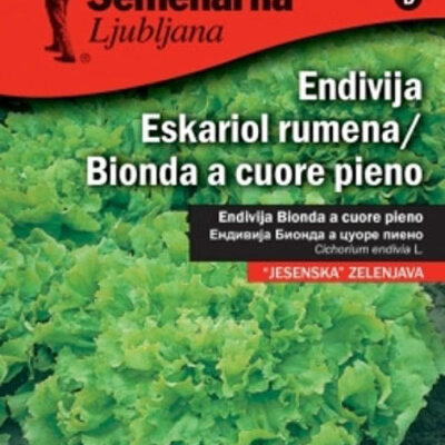 Seme - Salata Bionda a cuore pieno  -  Cichorium endivia L. 430