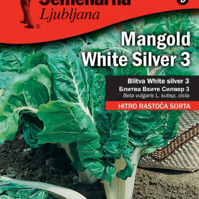 Seme za povrće - Blitva srebrnolisna - Beta vulgaris ssp. vulgaris var. cicla 483