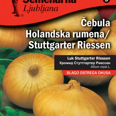 Crni luk - holandski žuti - seme - Allium cepa L. 595