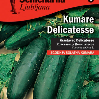Seme za Krastavac delikates - Cucumis sativus L. 625