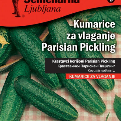 Seme za Kornišone - pariski kornišon - Cucumis sativus L. 637