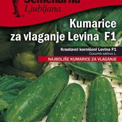 Seme za Krastavčiće Levina - Cucumis sativus L. 673