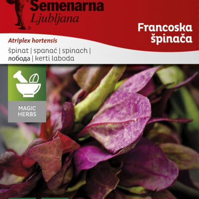 Francuski spanać - seme - Atriplex hortensis 1083